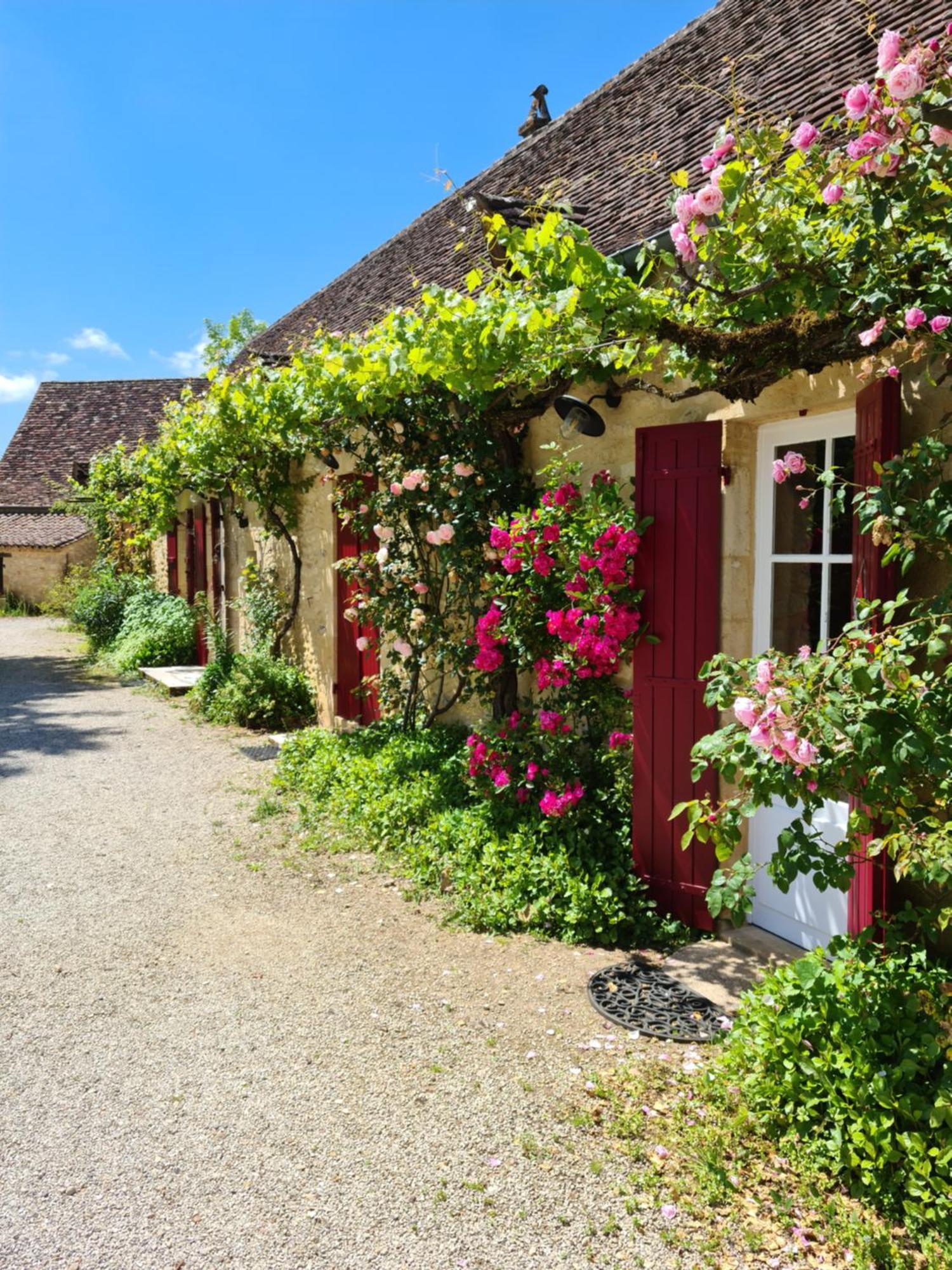 La Ferme De L'Embellie Gites Et Chambres D'Hotes Le Buisson-de-Cadouin Bagian luar foto